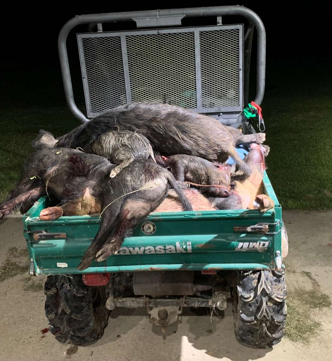 Hog hunt prices